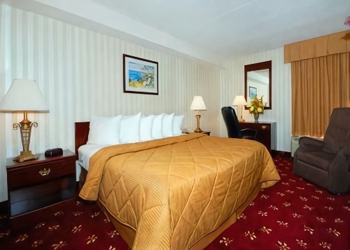 Comfort Inn Shady Grove - Gaithersburg - Rockville