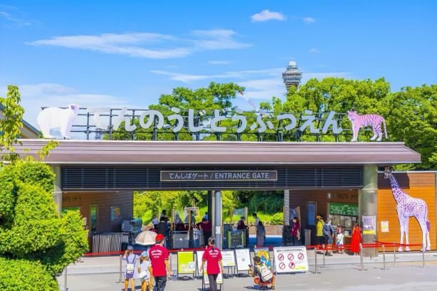 Hotel Arashi Nipponbashi 1