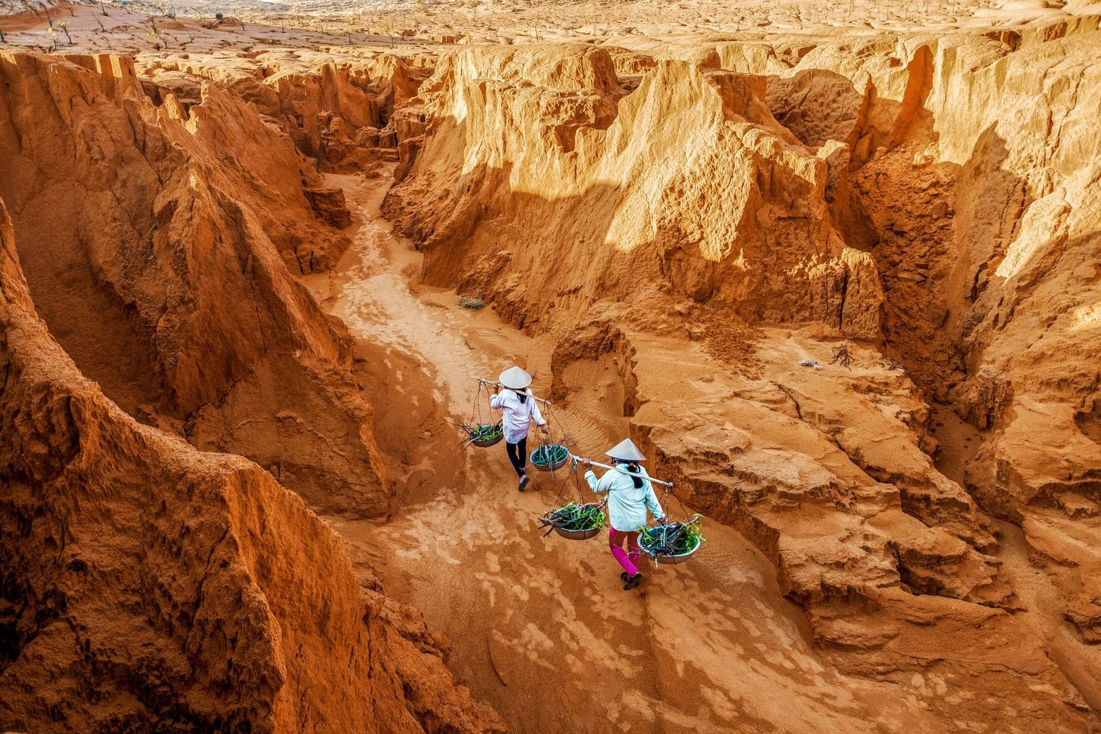Una increíble aventura por Vietnam: Saigón, el delta del Mekong y Mui Ne - 5 días/4 noches