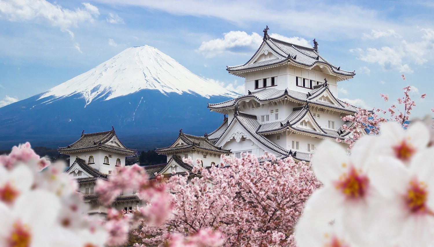 Gran recorrido por Japón: tesoros ocultos entre montañas y mares. 12 días/10 noches