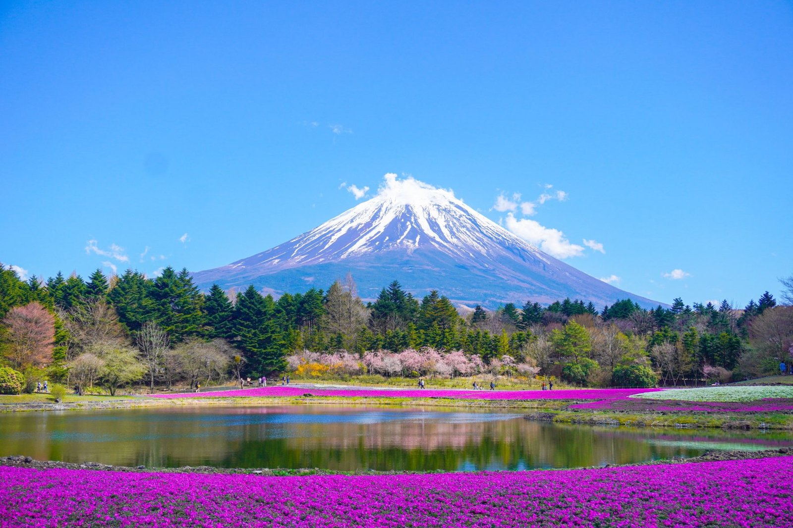 Circuito «Armonía de Japón» - 6 días/5 noches