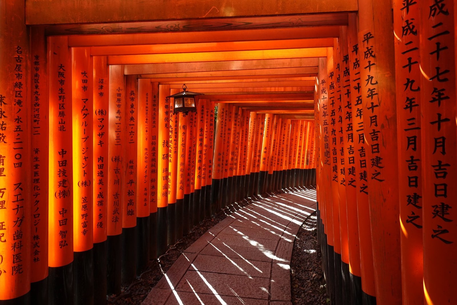 Tokyo to Hiroshima 8 Days 7 Nights